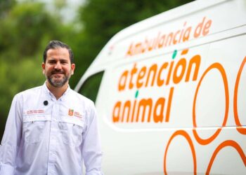 Emiten recomendaciones para proteger a las mascotas por lluvias
