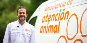 Emiten recomendaciones para proteger a las mascotas por lluvias