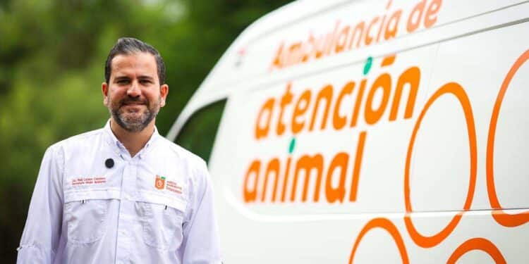 Emiten recomendaciones para proteger a las mascotas por lluvias