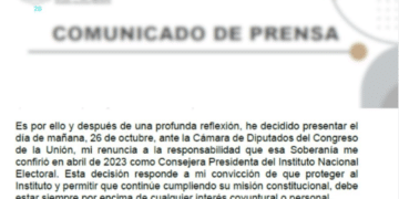 Renuncia Taddei al INE en medio de cuestionamientos